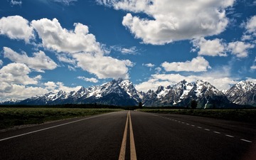 68556