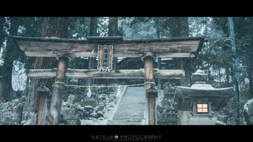 _DSC2766-编辑