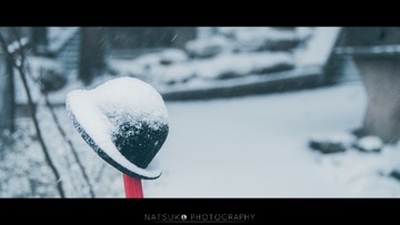 _DSC2771-编辑