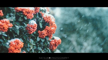 _DSC2786-编辑