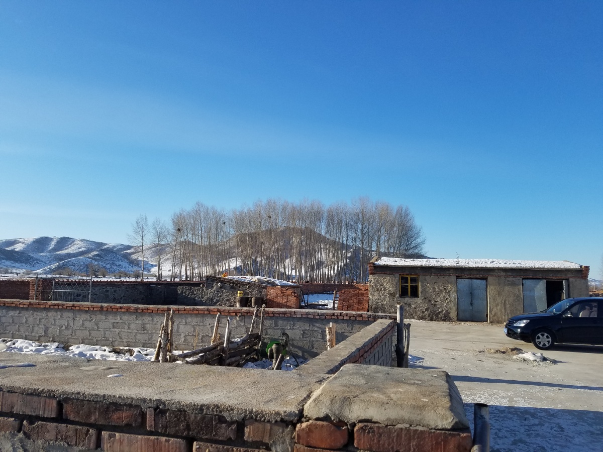 前段时间,去内蒙科尔沁左前旗采访,感觉到这里的自然环境是