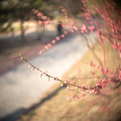 001
