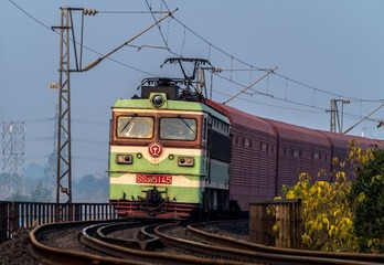 2946454