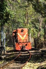 3116123