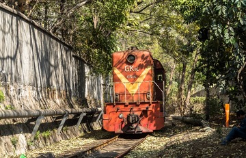 3116135