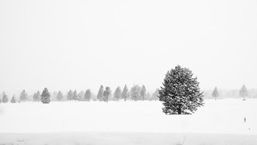 Snow storm in Cal