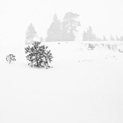 way home after skiing in heavenly