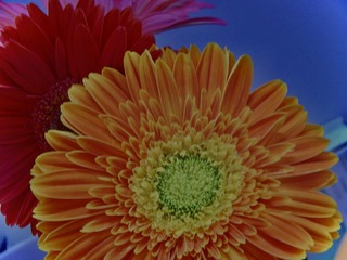 F9453186-98FB-494E-8ADB-37C83A084FC3/L0/001