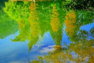 DSC_1181-2