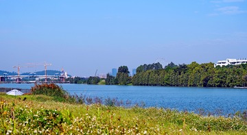 DSC_7146（2）