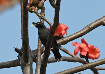 DSC_9917 (2)