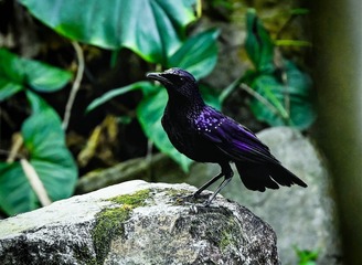DSC_2105-2