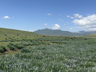 05FC6D93-A825-4F2A-BFD8-385438F3EE96/L0/001