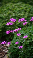DDDD9127-65CC-4987-81B8-023790DA7783/L0/001