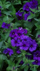 BB28717B-D925-42DC-963D-7DF577D2AA0D/L0/001