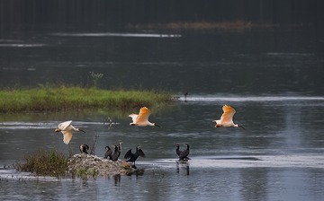 636638