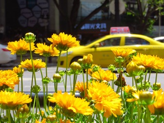 906323E0-147D-4CD0-8E2A-98C8E10C6C0B/L0/001