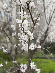 2799A75C-C5B9-4F5C-98C5-713546987237/L0/001