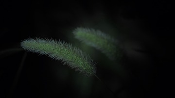 1141325