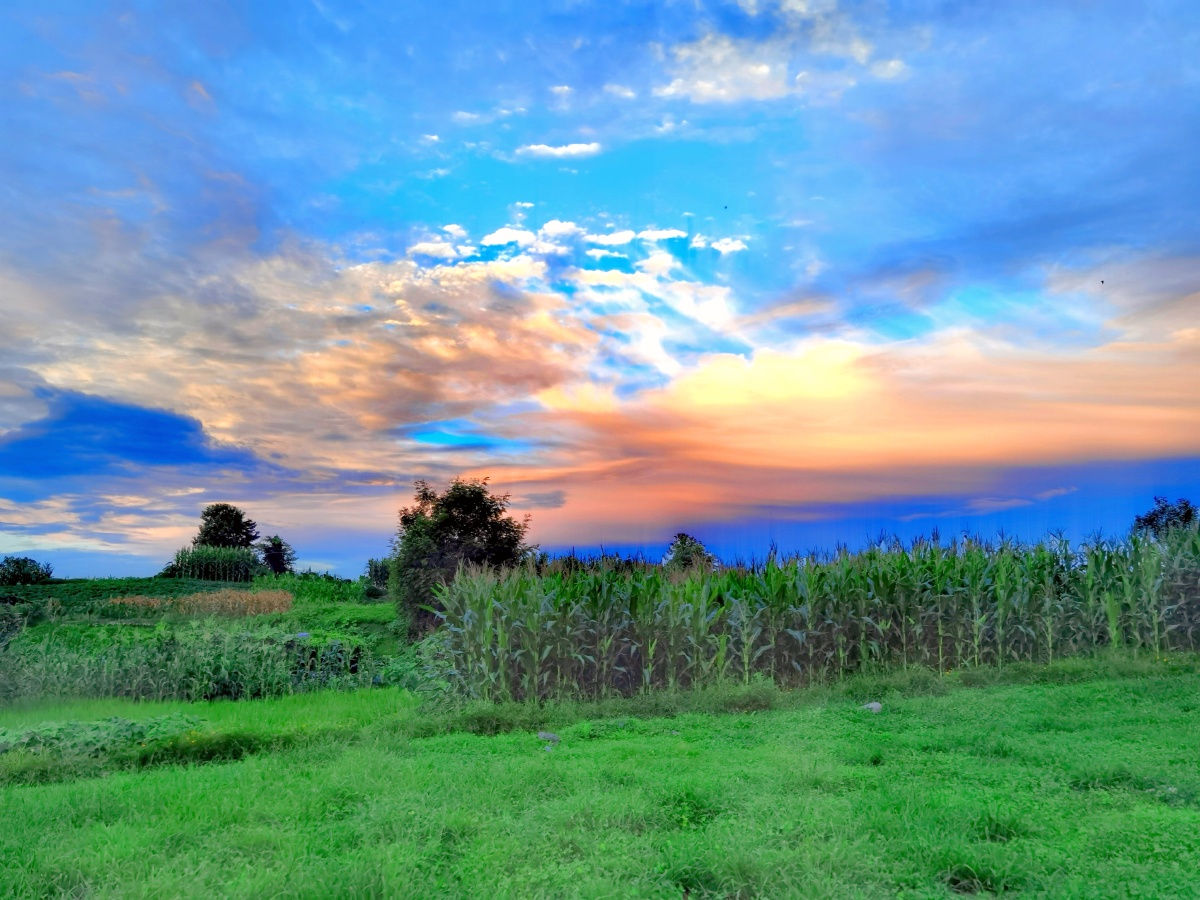 晴日蓝天漂彩云