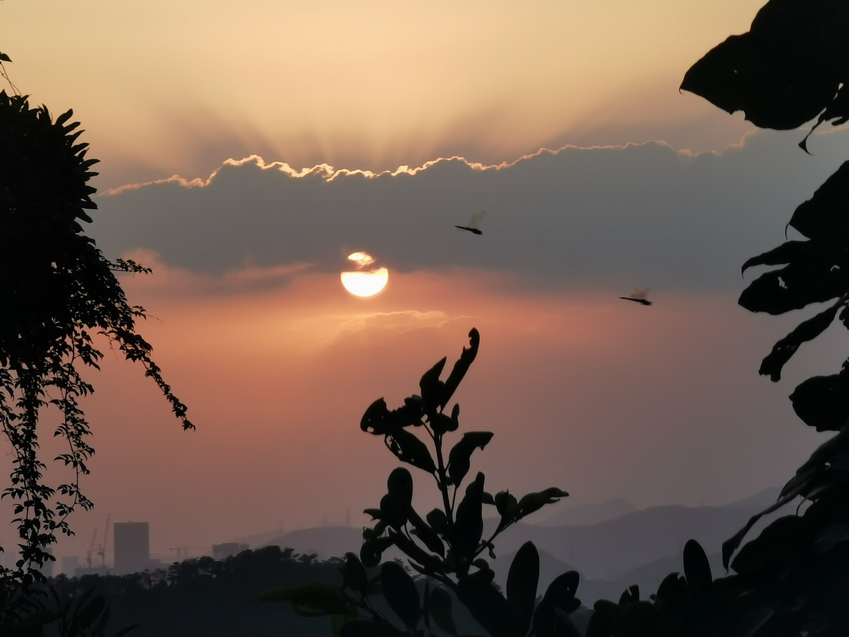 梧桐山的日落下次看个完整的biu