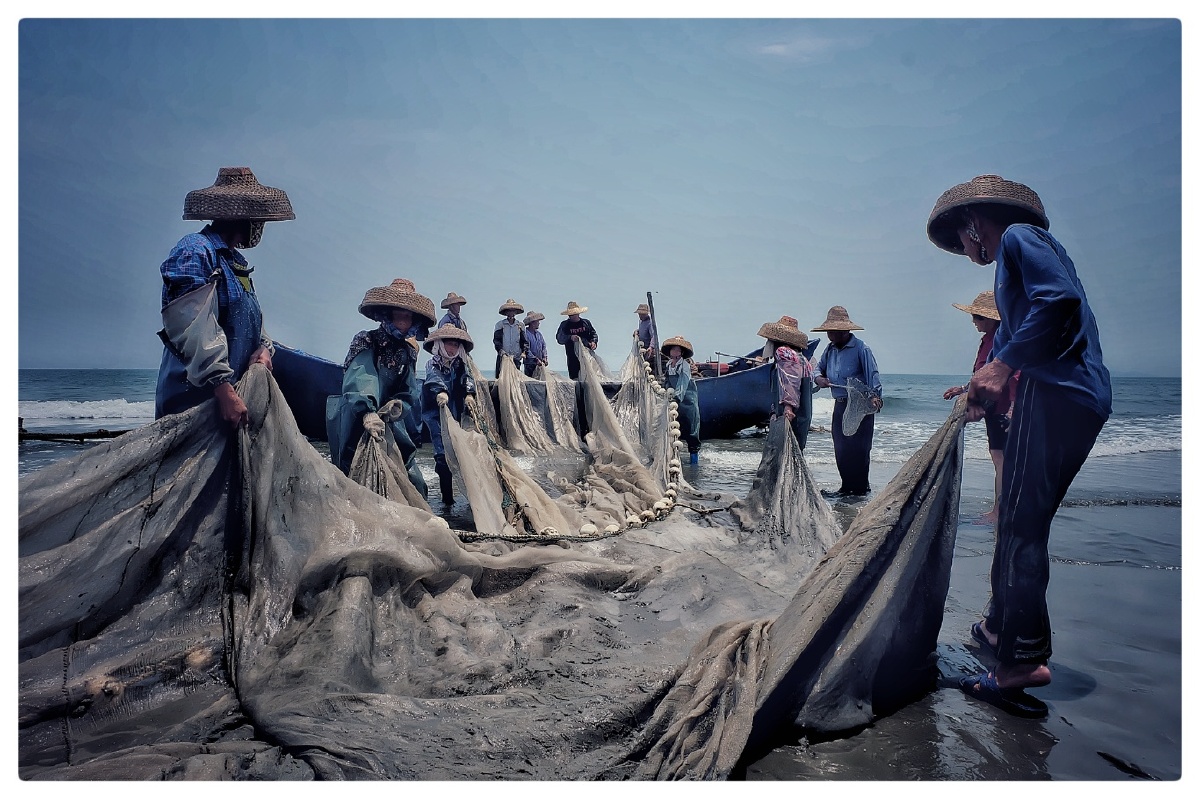 收网捕鱼后收网的场景传统拖地网方式捕鱼(现在已停止)