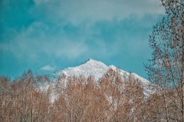 1360223