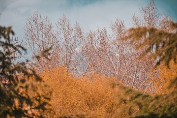 1360204