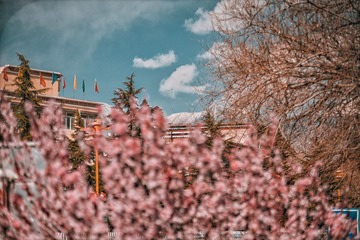 1360222