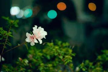 12FFB755-59CC-4986-B8BB-124D2878E794/L0/001