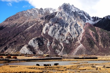 L1001877