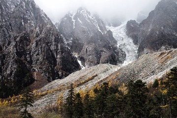 L1001761