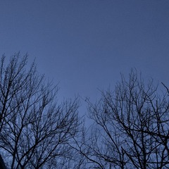 365119