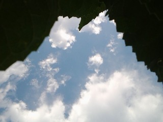 2015-07-05 07.25.18
