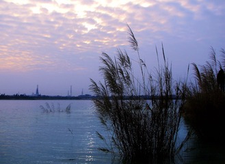 IMG_1386_