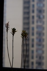 旋转 IMG_8094