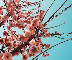 C6E928CA-675B-4FBB-AC9E-99497F427C34/L0/001