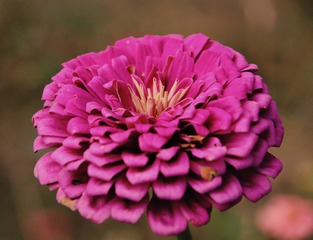 939187DD-00B0-4FD5-AE41-126D74C99621
