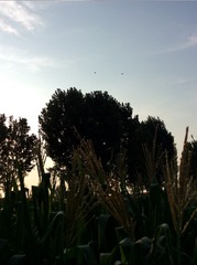 7D21CB4D-45E6-4F3F-86CB-4AC7D7903F5B/L0/001