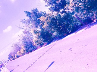 954852E7-A51D-4E56-B959-B7AA830FE7BC/L0/001