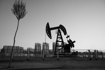 _DSC6885