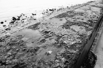 _DSC0104