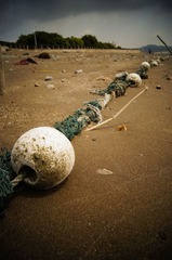 _DSC0121