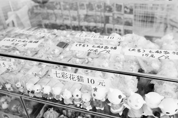 _DSC0193