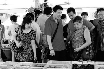 _DSC0229