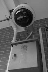 _DSC0258