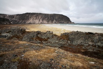 DPP_0138