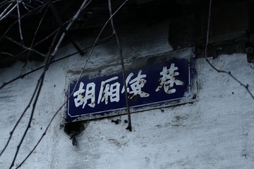 DPP_0155