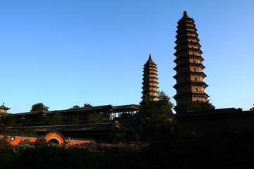 DPP_0182