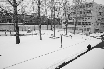 _DSC0080